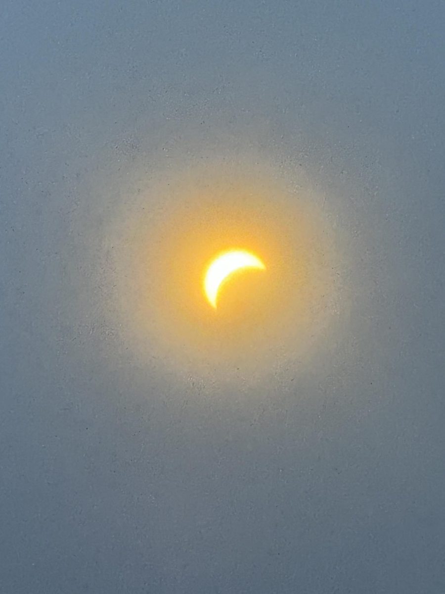 View of the solar eclipse.